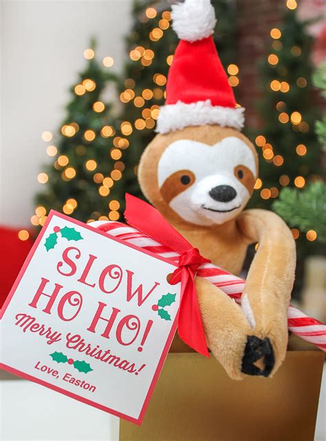 fun sloth gifts